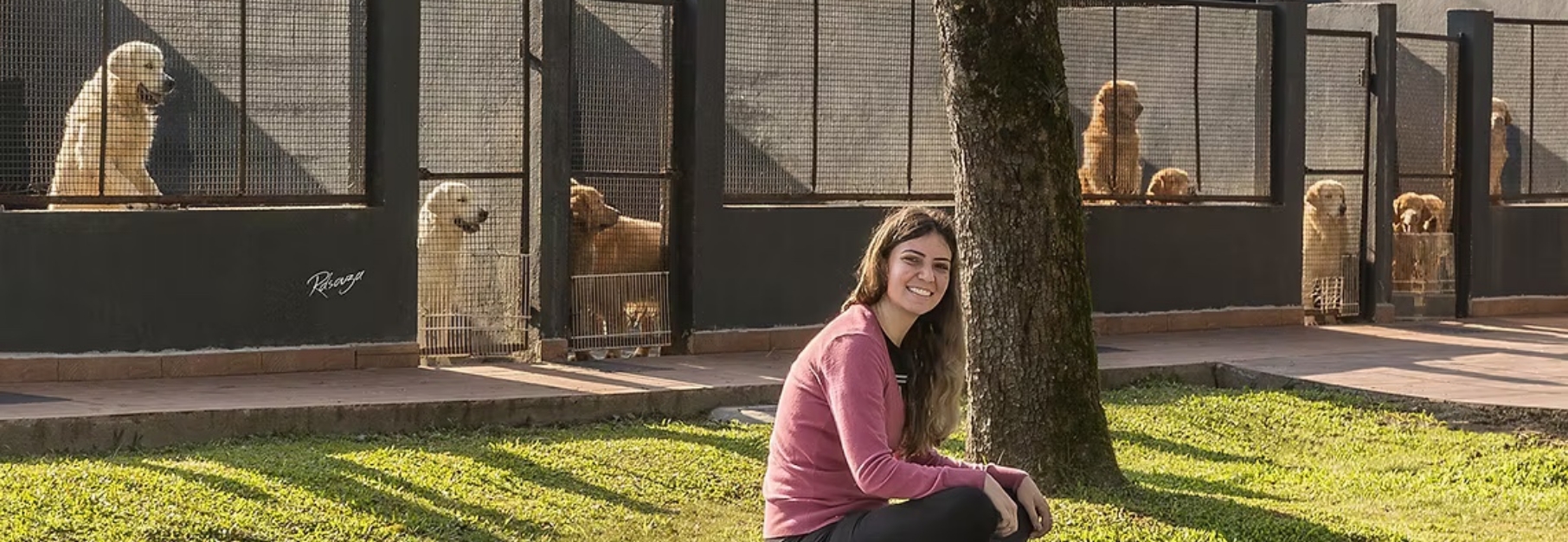 Isabella Calli e seus Goldens Retrievers